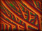 fractals-pseudo 3d