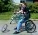 AWOL trike